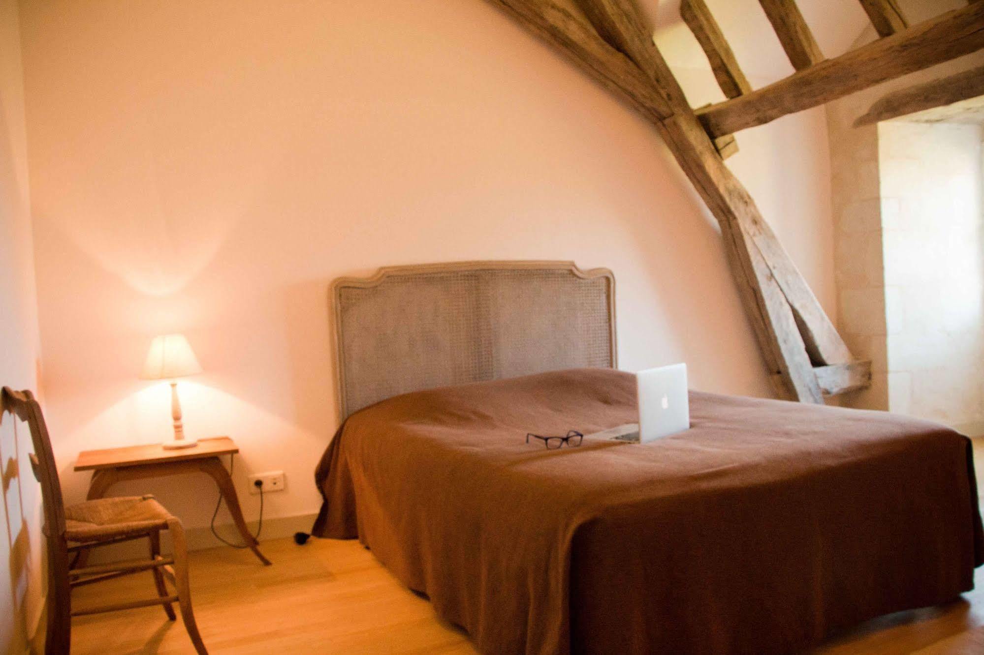 Surprenantes - Chateau Du Pe Saint-Jean-de-Boiseau エクステリア 写真